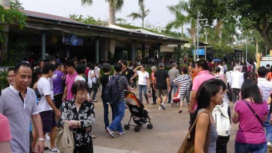 Sai Kung Seafood Street